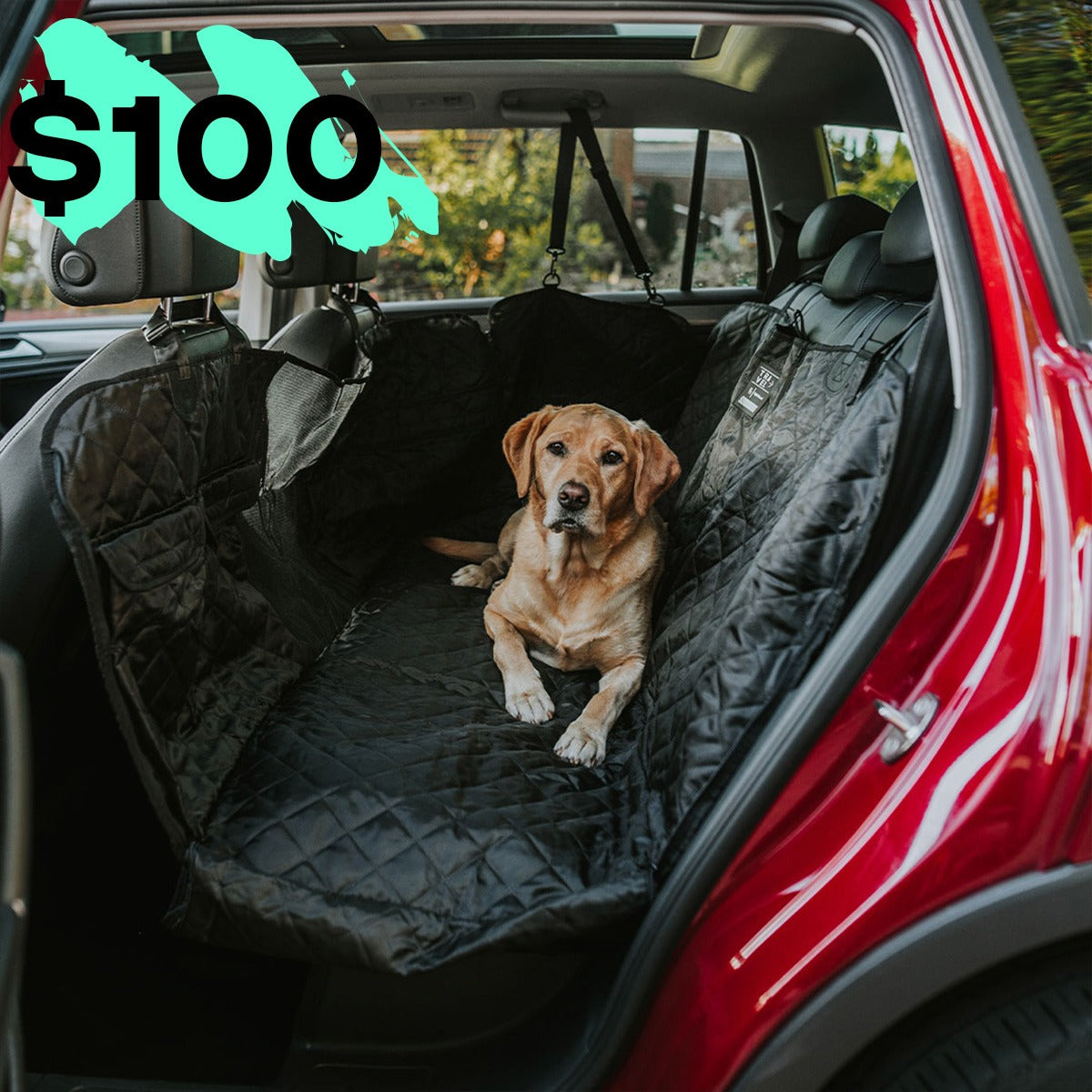Back Seat Cover with Travel Bag