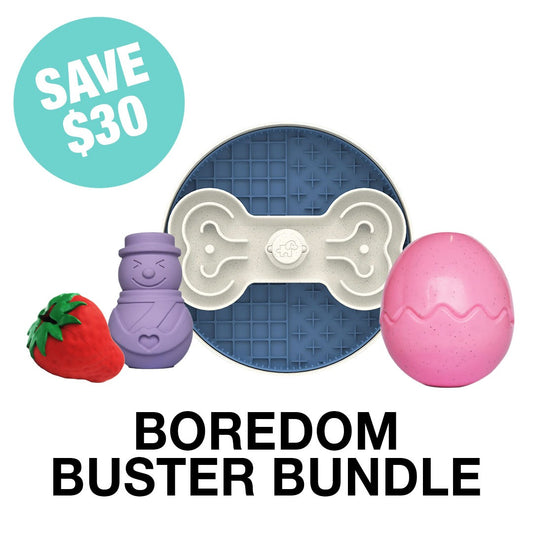 Boredom Buster Bundle
