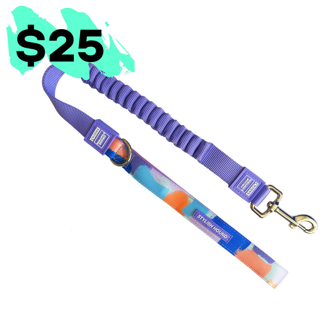 Chrome CC Leash - Chrome