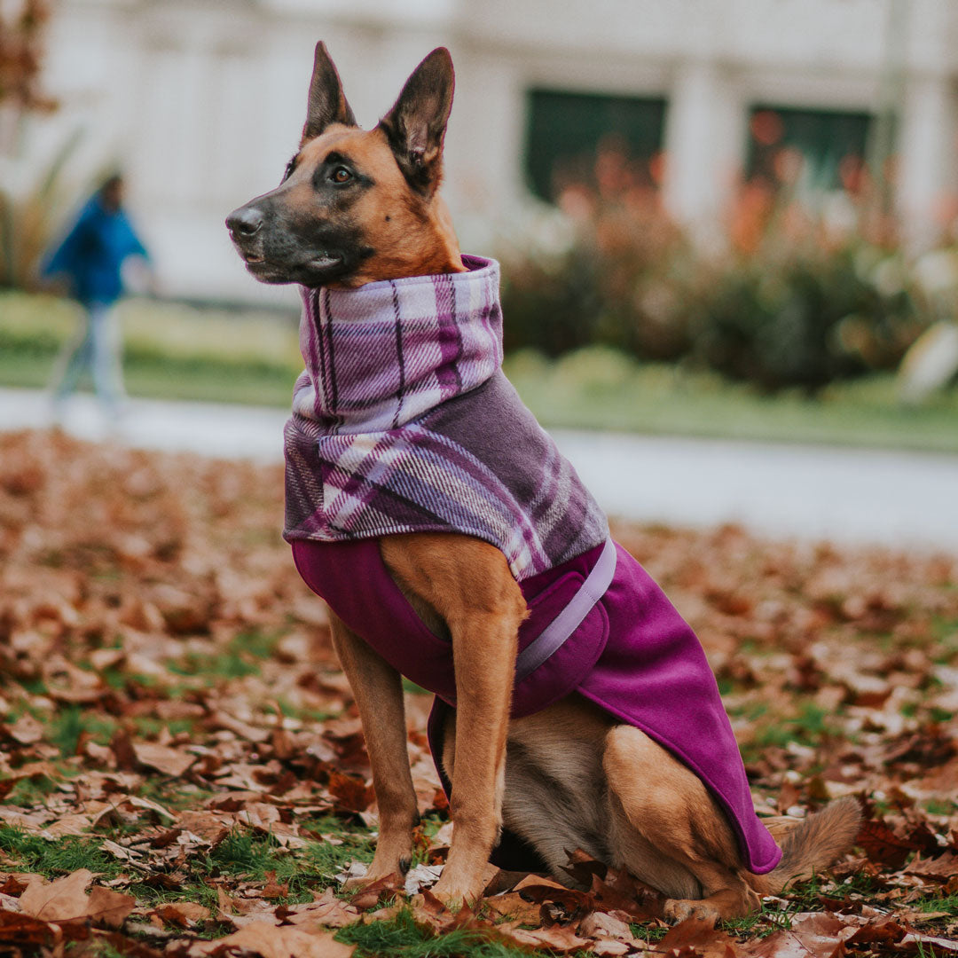 Berry Winter Coat (PRE-ORDER)