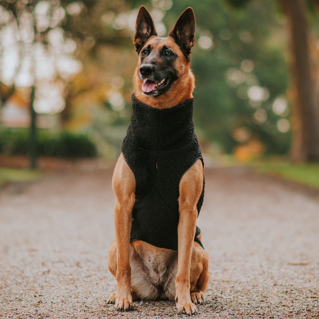 Black Fleece Vest (PRE-ORDER)
