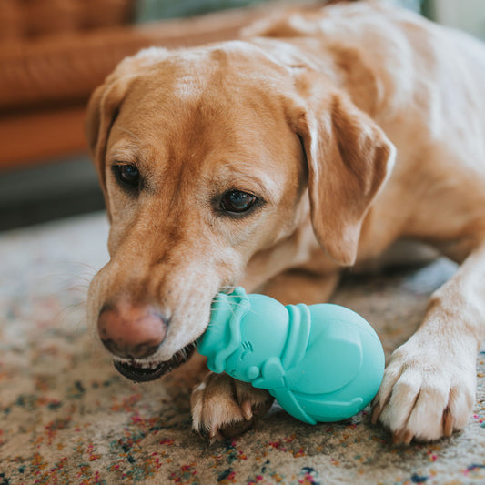 Mint Mrs Snowman Rubber Food Enrichment Toy