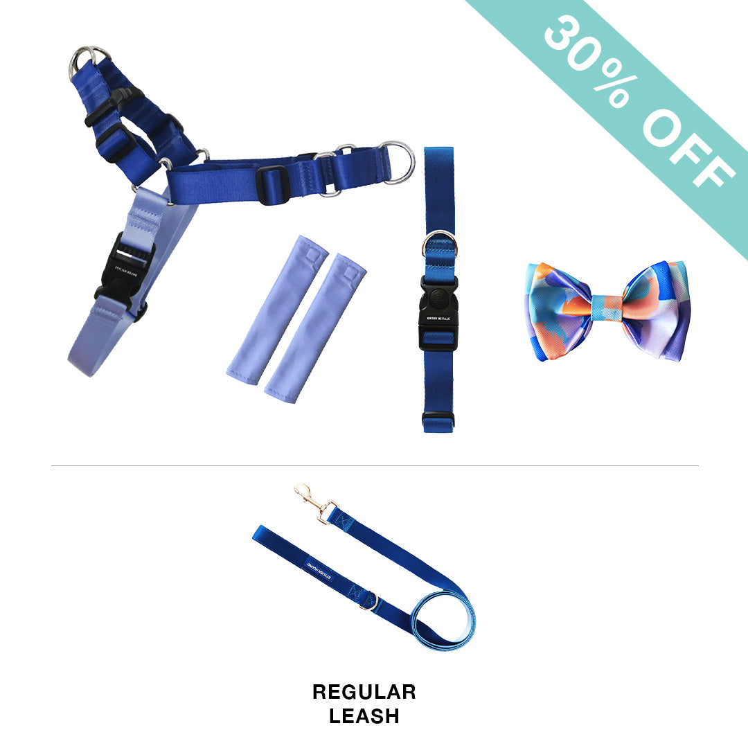 RNT No-Pull Harness + Leash + Collar + Bow Tie