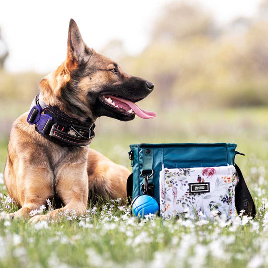 Elite Treat Pouch - Evergreen