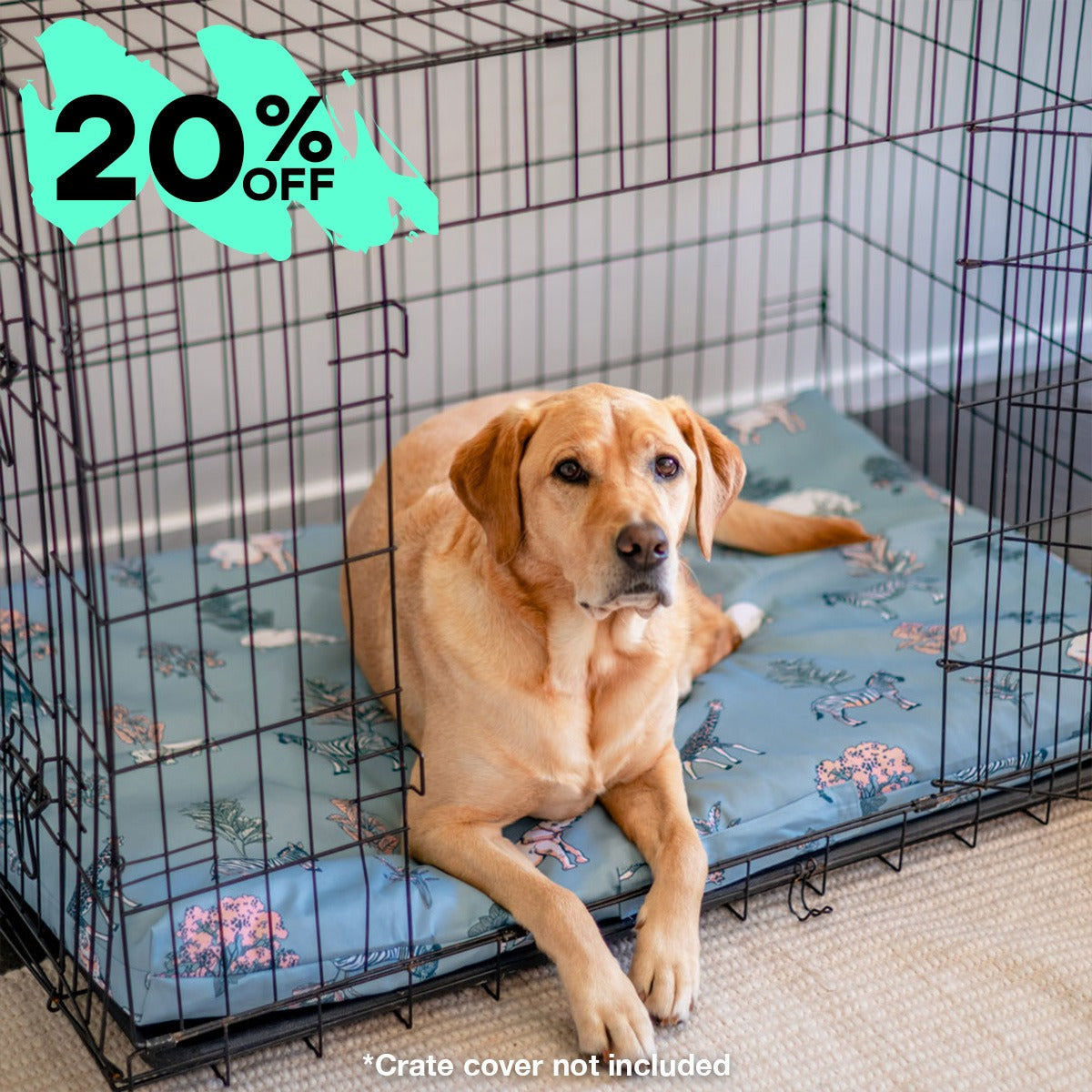 Mattress & Mattress Cover - SALE
