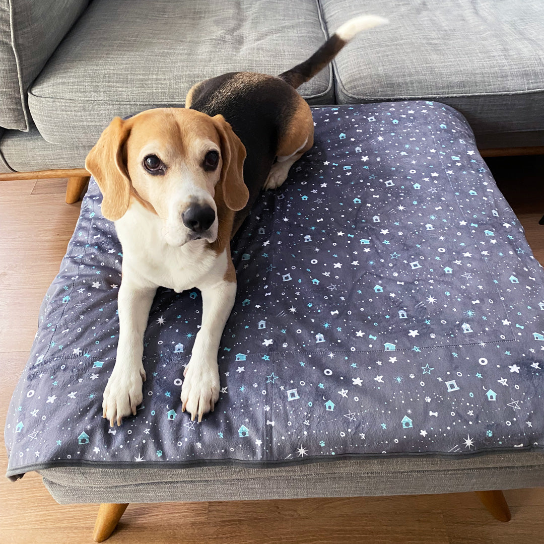 Starry Night Crate Blanket - Starry Night