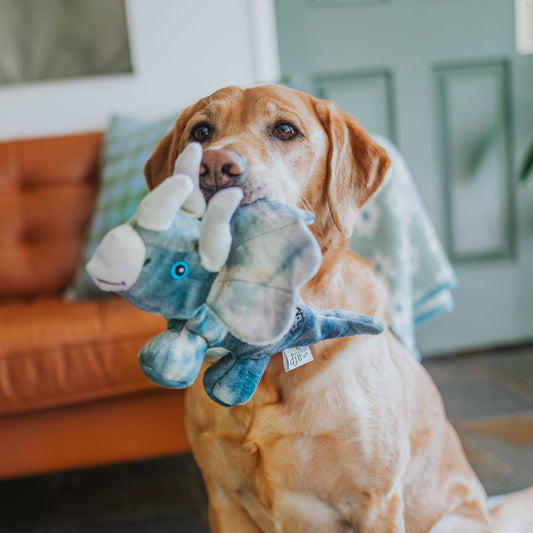 Soft Comforter Terence the Triceratops