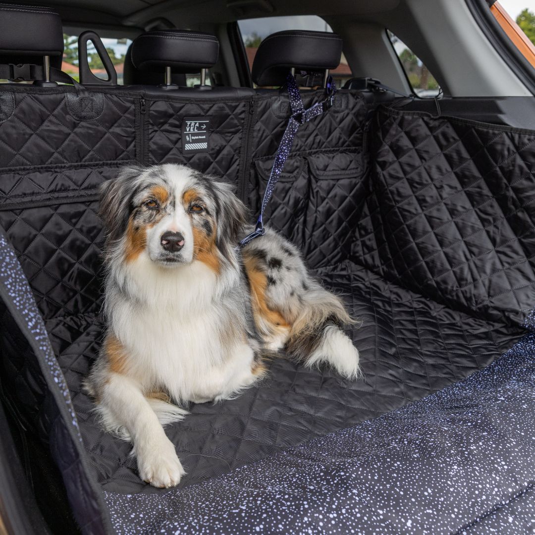 Jackson Headrest - Jackson