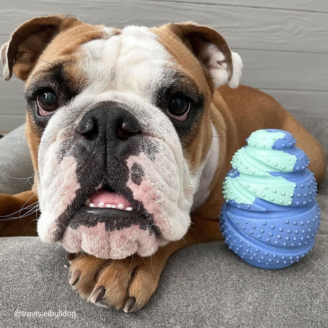 Lagoon Hercules - Factory Seconds