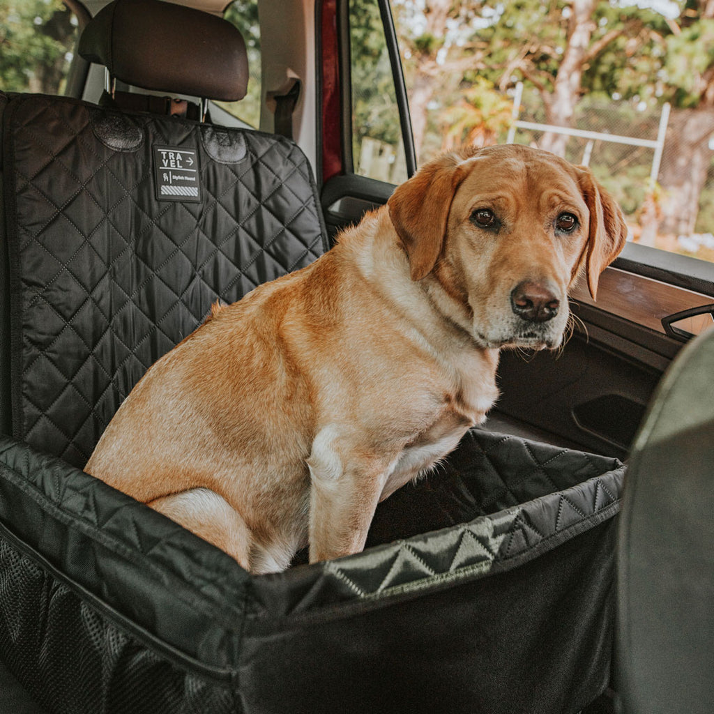 Single back sale seat dog cover
