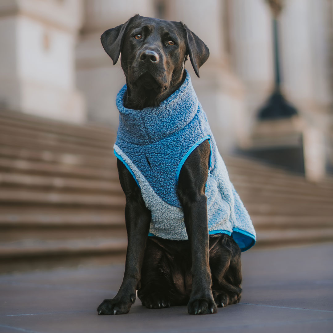 Keep Cosy with Winter Remedies