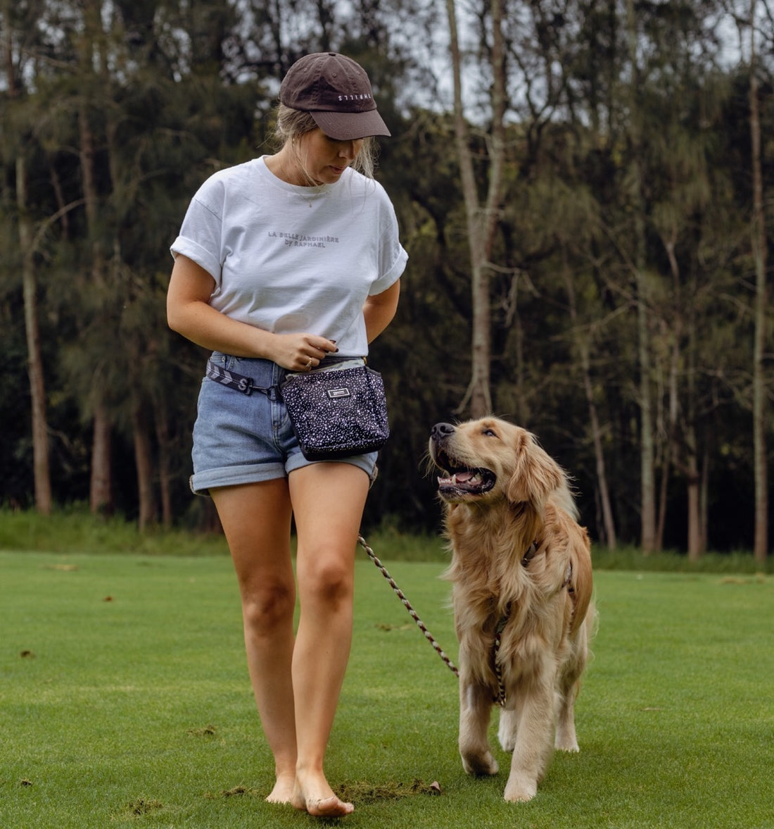 The Ultimate Dog Training Treat Pouch in Australia