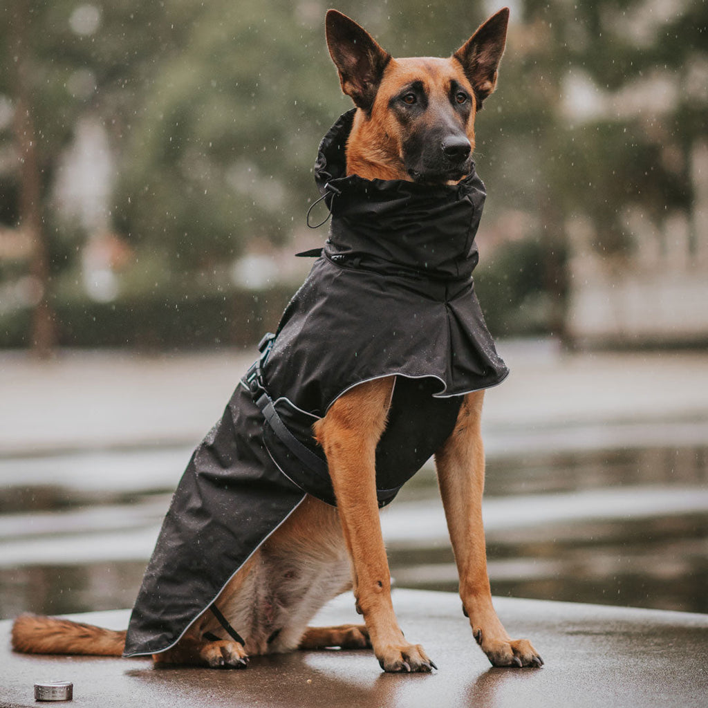 GO TO GEAR FOR WET WEATHER