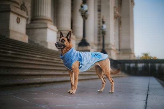 Keep Cosy with Winter Remedies