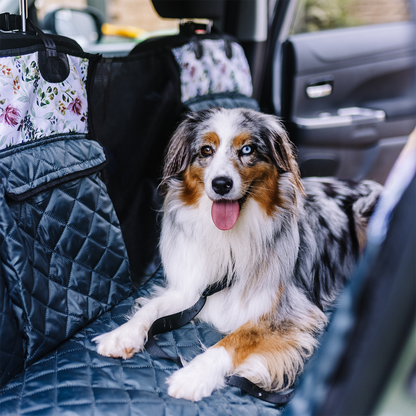 Back Seat Cover with Travel Bag