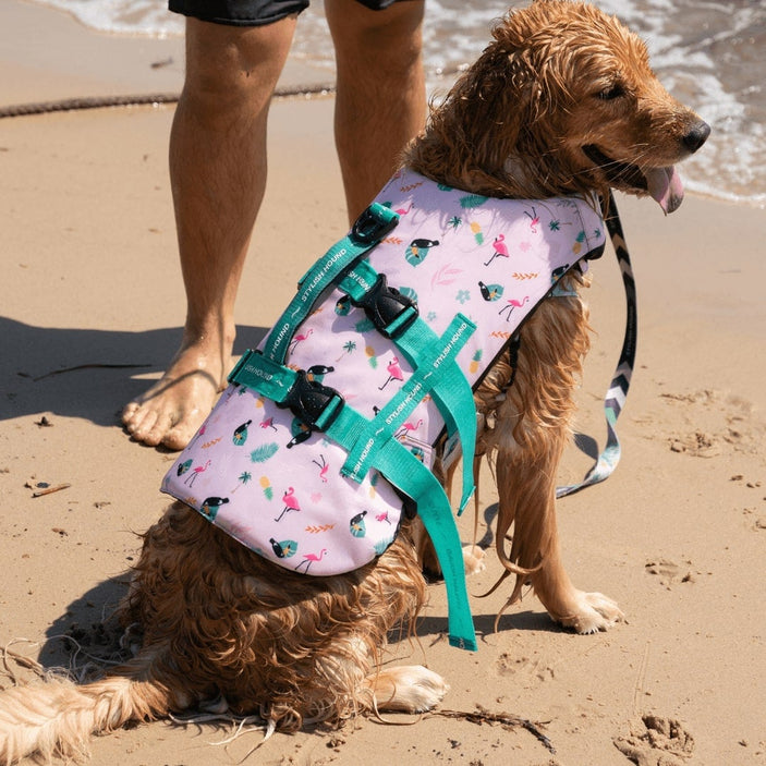 Tropical Dog Swim Jacket