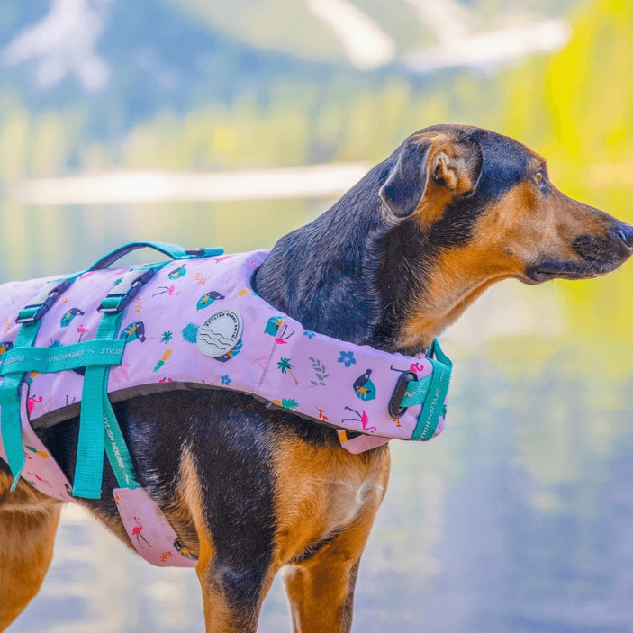 Tropical Dog Swim Jacket