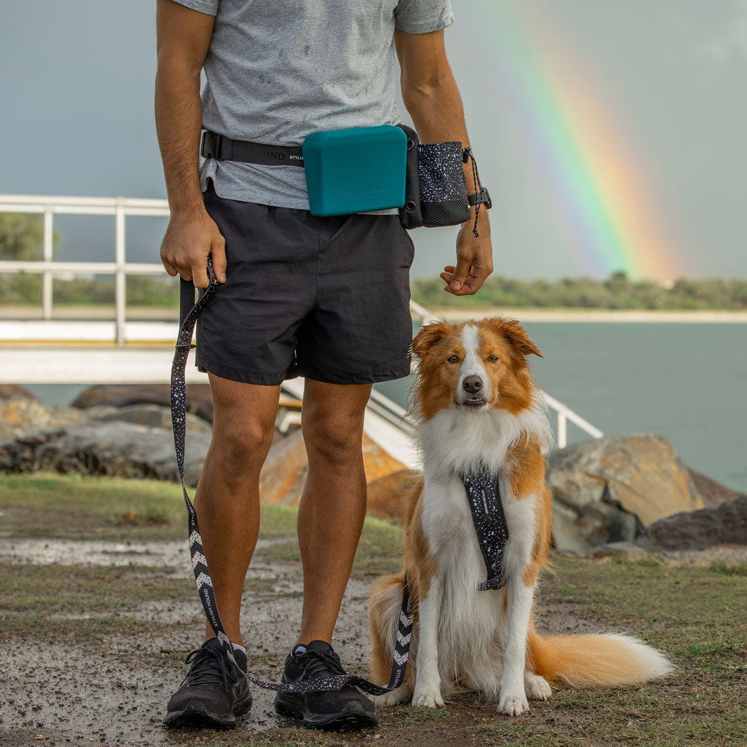 Teal Pro Trainer Silicone Pouch