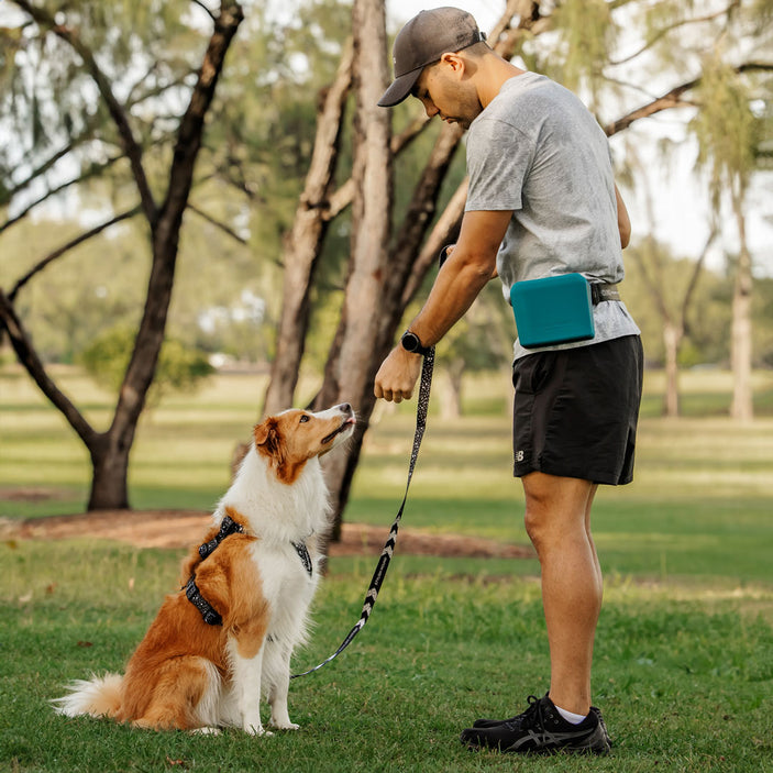 Teal Pro Trainer Silicone Pouch