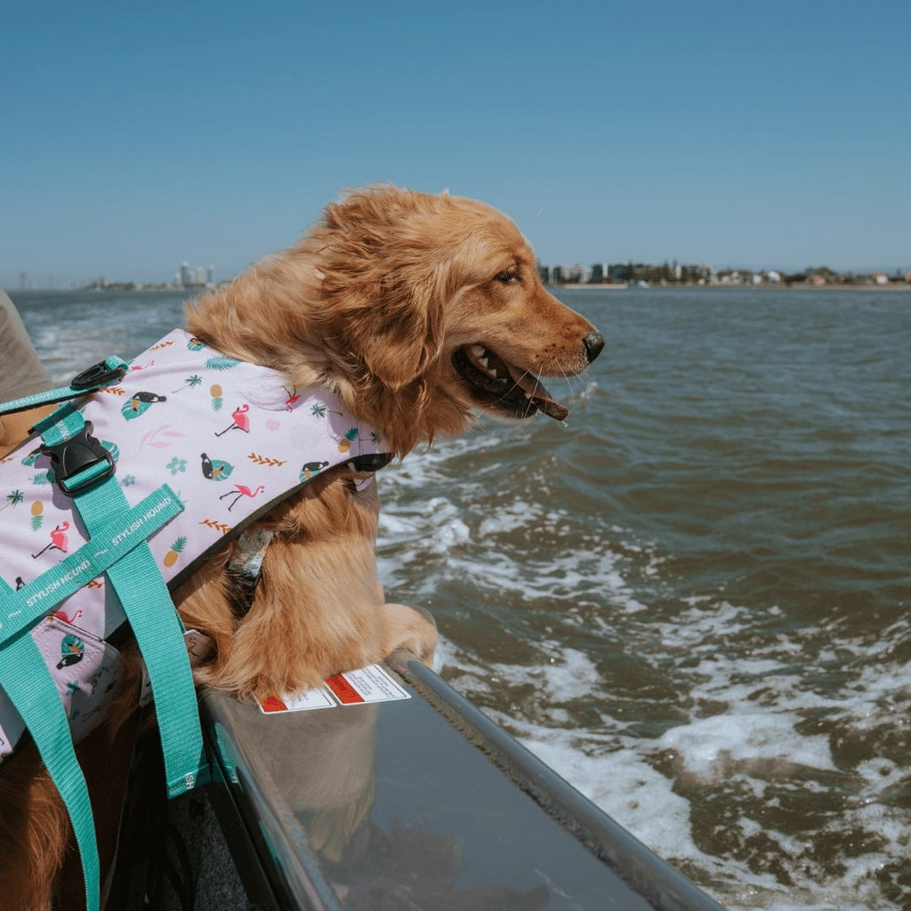 Tropical Swim Jacket - Tropical
