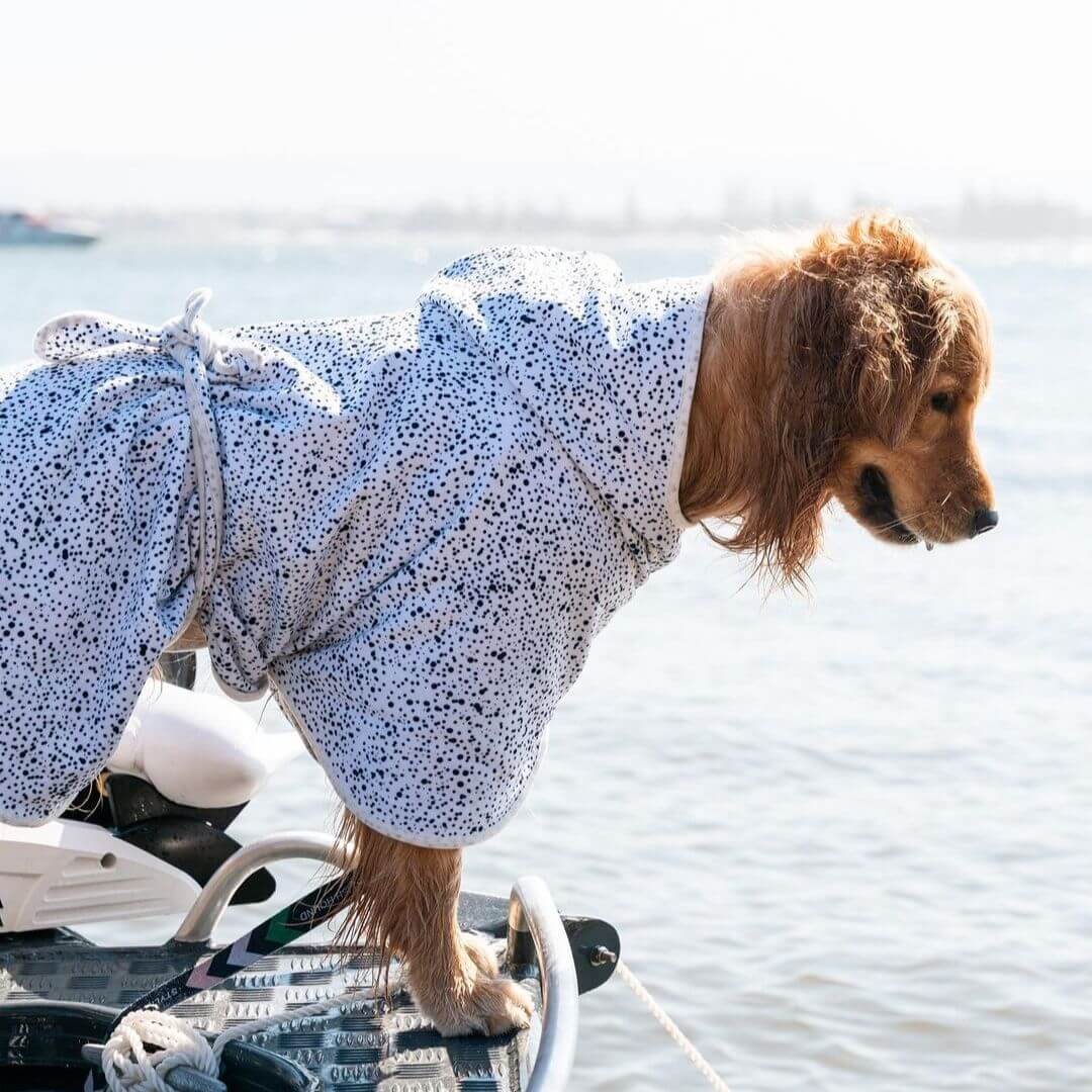 Dog Robe