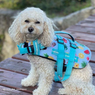 Malibu Dog Swim Jacket