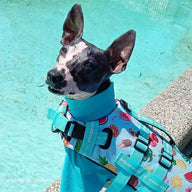 Malibu Dog Swim Jacket