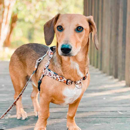 Wild Side Leash - Wild Side