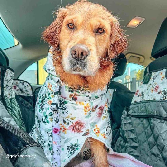 Evergreen Dog Robe