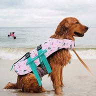 Tropical Dog Swim Jacket