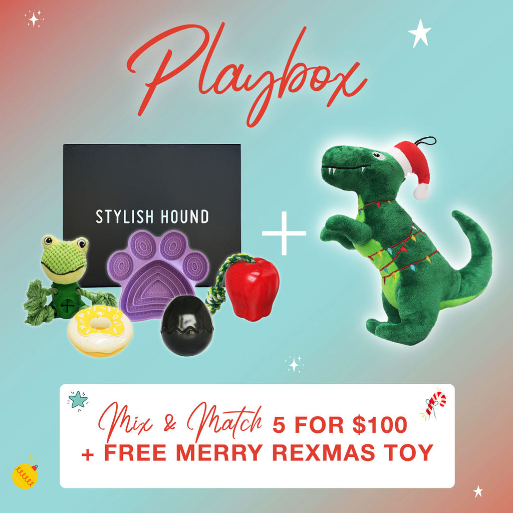 Christmas Playbox