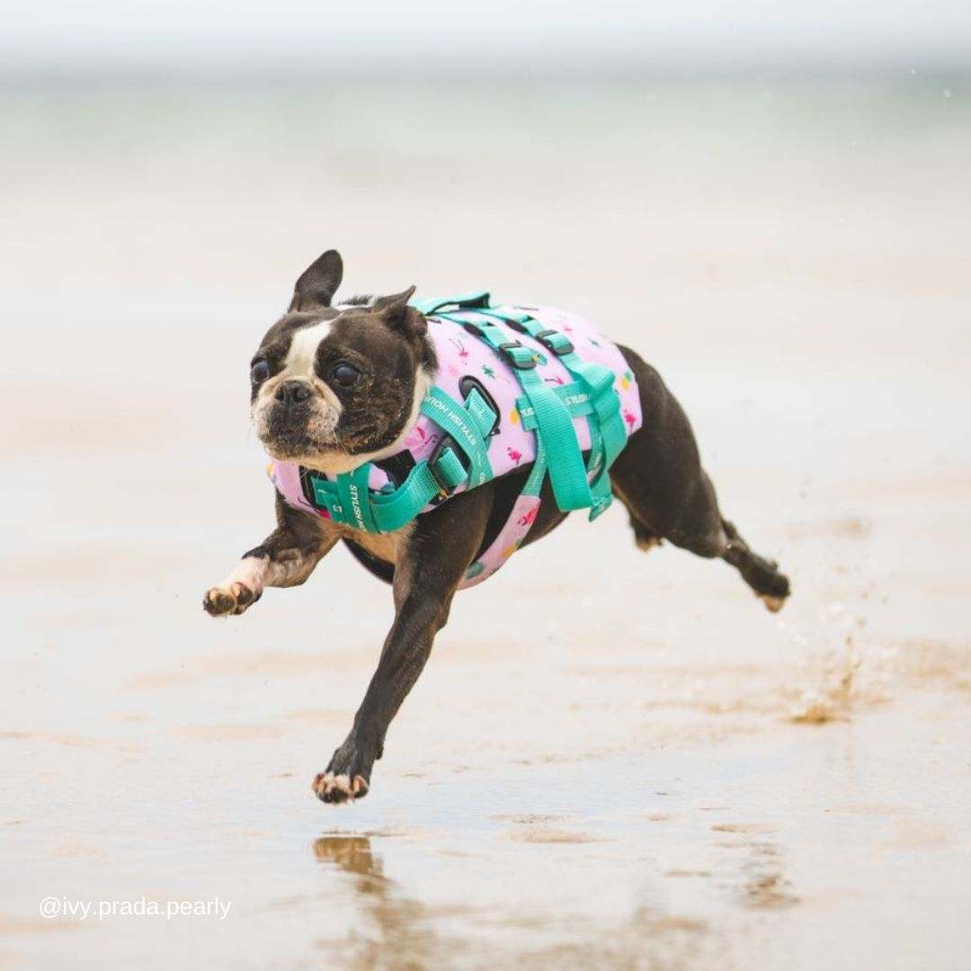 Tropical Dog Swim Jacket