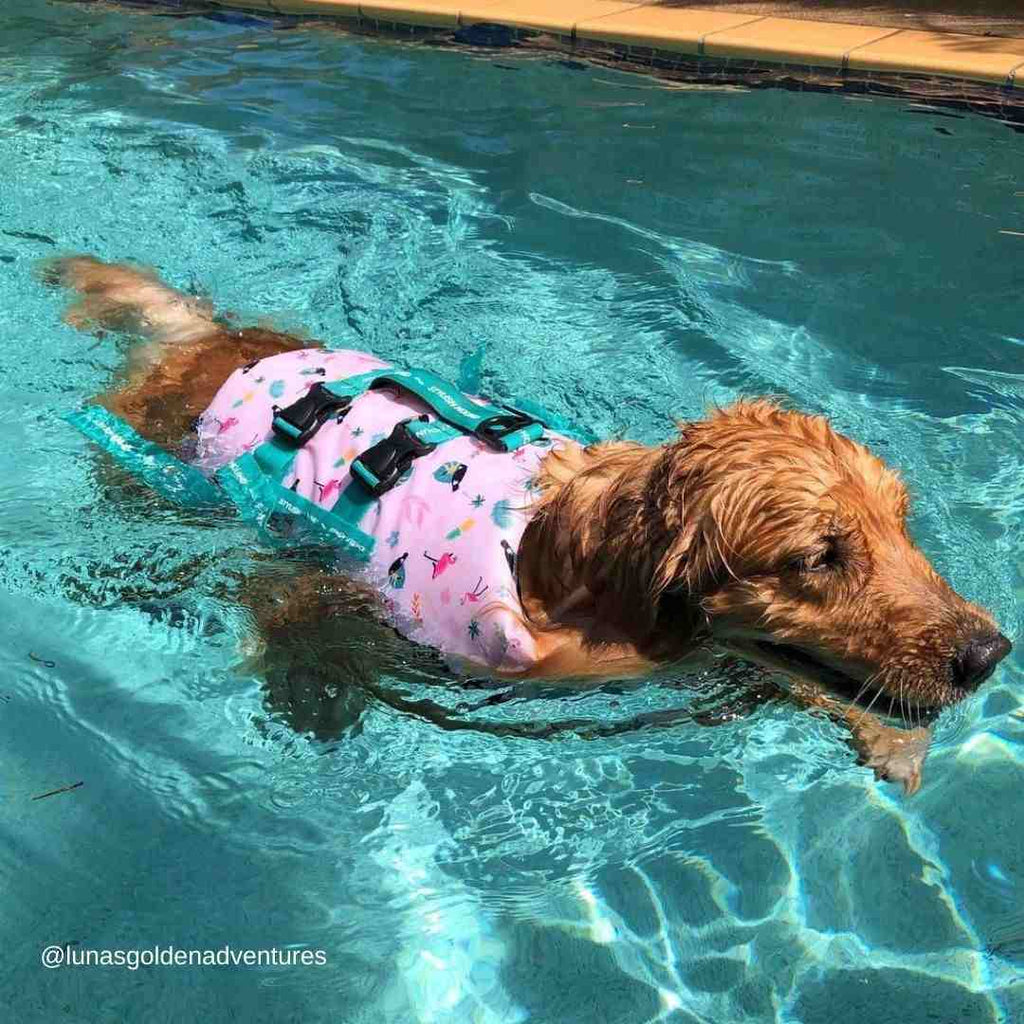 Tropical Swim Jacket - Tropical