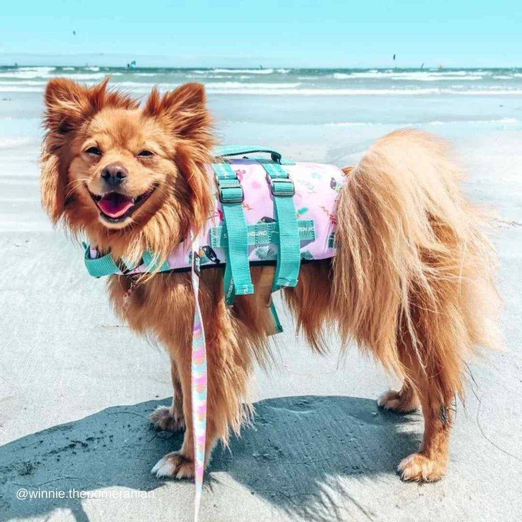 Tropical Swim Jacket - Tropical