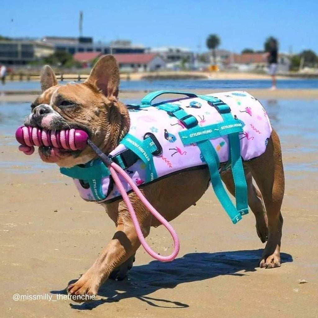 Tropical Swim Jacket - Tropical