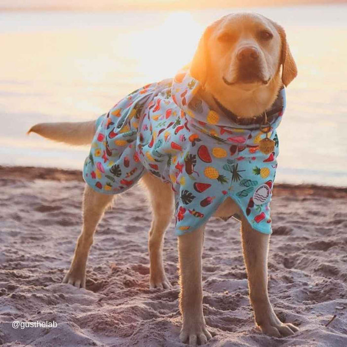 Malibu Dog Robe