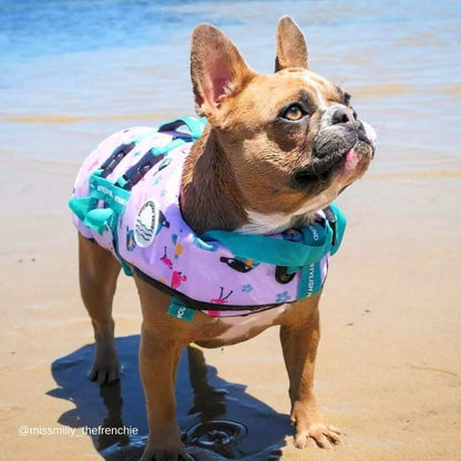 Dog Swim Jacket