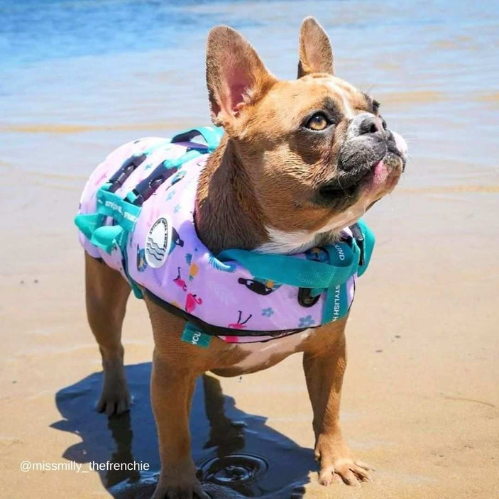 Tropical Dog Swim Jacket