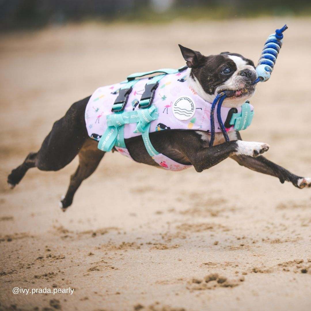 Tropical Dog Swim Jacket