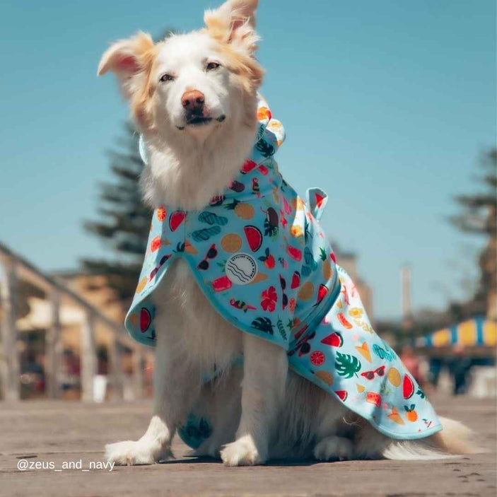 Malibu Dog Robe