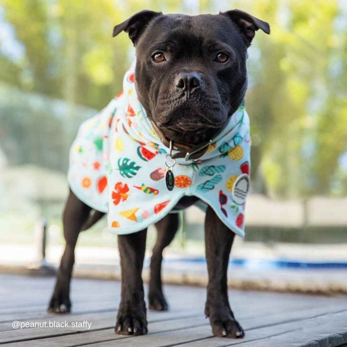 Malibu Dog Robe