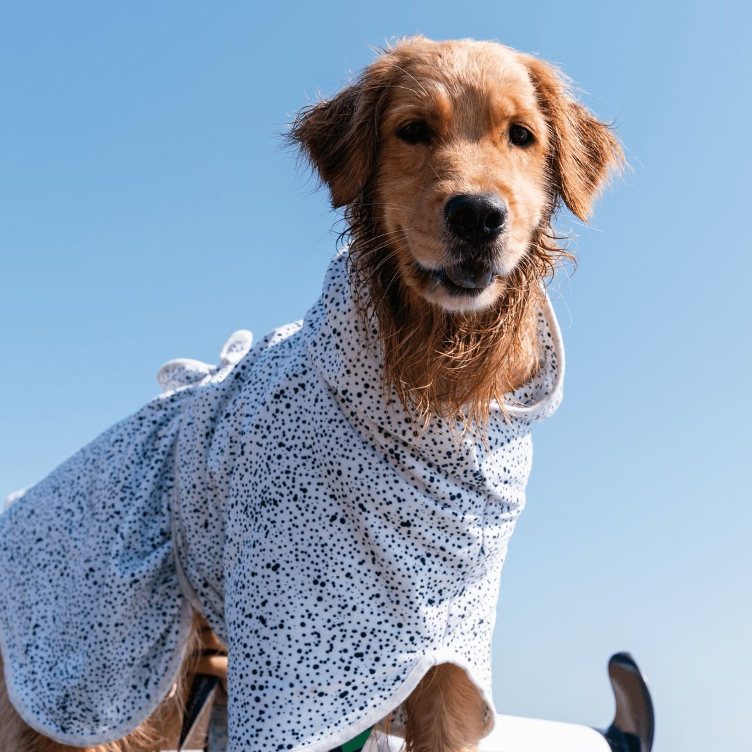 Jackson Dog Robe - Jackson