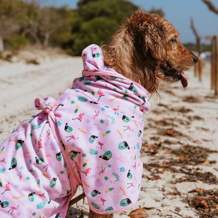 Tropical Dog Robe