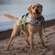 Evergreen Dog Swim Jacket