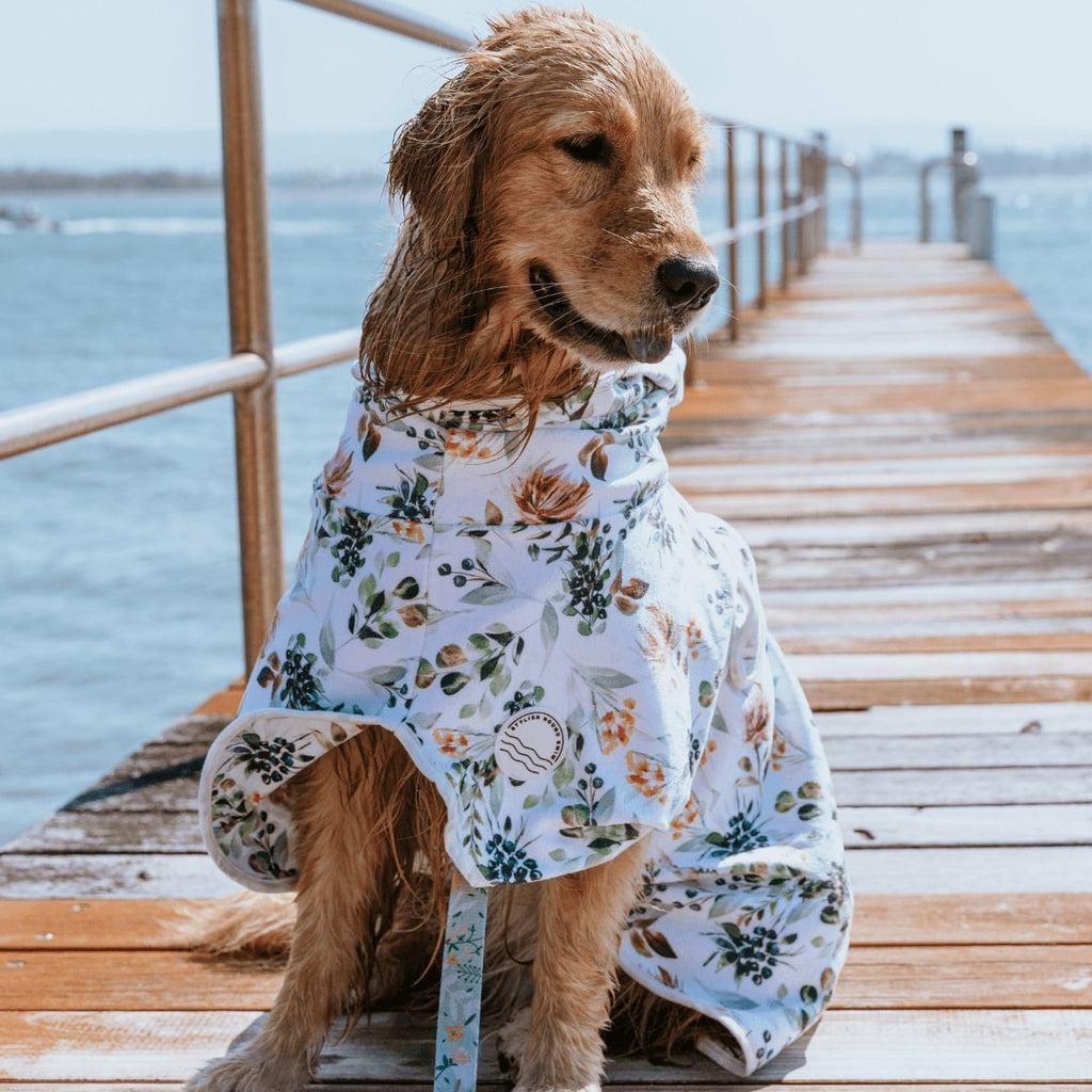 Evergreen Dog Robe