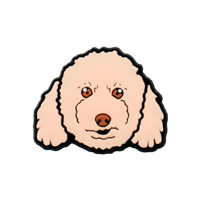 Free Jibbitz with Order