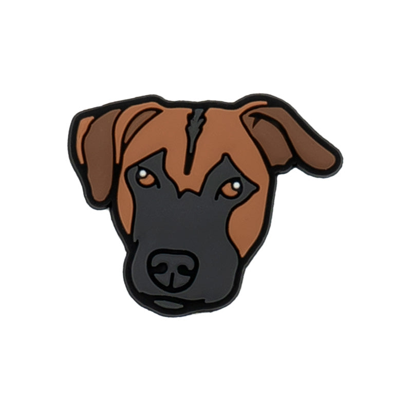 Free Jibbitz with Order