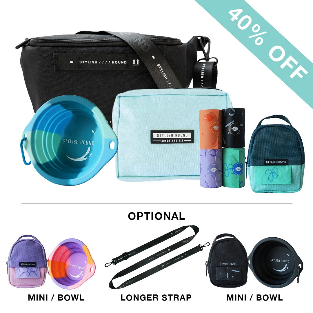 Black S.H Waist/Cross Body Bag + Express Pouch