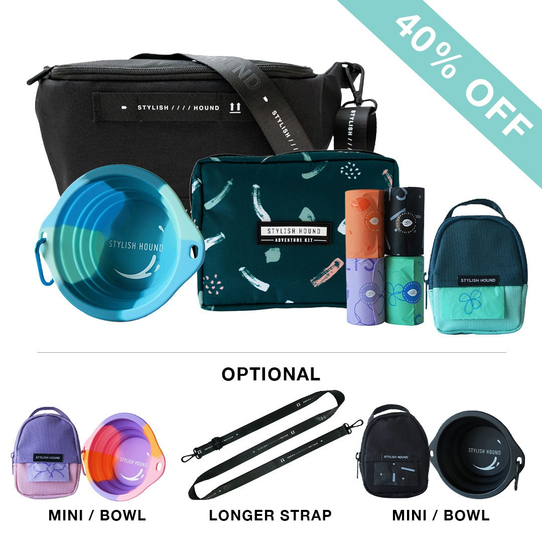 Black S.H Waist/Cross Body Bag + Express Pouch