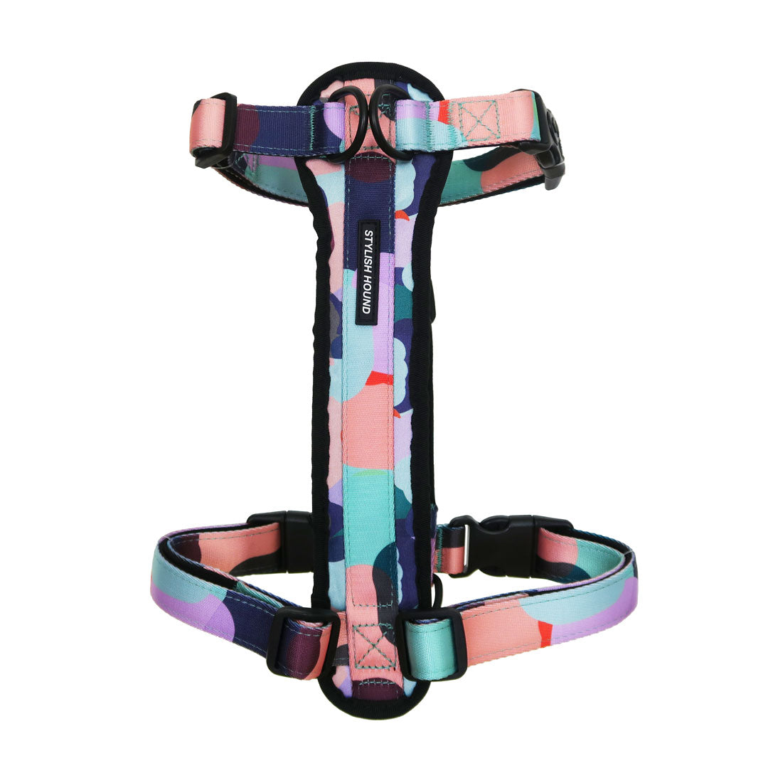 Explorer Chest Plate